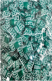 Menta Polar